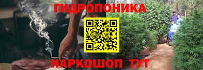 ГАЛЛЮЦИНОГЕННЫЕ ГРИБЫ Сланцы