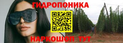 гидропоника Свободный